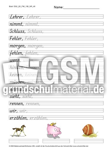 DSS_2S_FW_100_NR_46.pdf